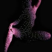 Blacklight Sleaze
