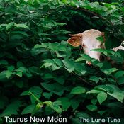 Taurus