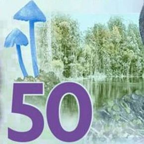 Fifty
