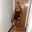 Fifi Mitchell's profile picture