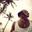 Cujah Selecta's profile picture