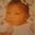 Savannah Marie's profile picture
