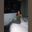 Kiana Romina's profile picture