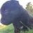 Dvy Knine's profile picture