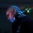 Andrea Cocco Marella's profile picture