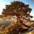 David Gray's profile picture