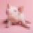 Maxime Claisse's profile picture