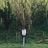 Lewis Holmes's profile picture