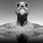 DarJo's profile picture