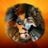 Alessio Modrian Mariottoni's profile picture
