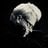 Klinké's profile picture