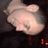 Dimitris Karazanos's profile picture
