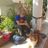 Nitzan Rom Geva's profile picture