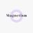 Magnetisim's profile picture