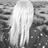 Sabrina Monaco's profile picture