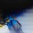 Flynn Brunner's profile picture