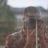 Gabriel Alexandru's profile picture