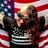 Nick J. Townsend's profile picture