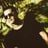Daniel Peña's profile picture
