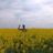 Christian Friesen's profile picture