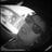 Jack Robson-Burrell's profile picture