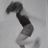Michele Bastien's profile picture