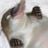 Blesilda Blorgenstein's profile picture