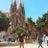 Ilya Shniukov's profile picture