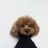 Laura Esposito's profile picture