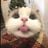 daniel's profile picture