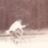 Jens Schittenhelm's profile picture