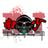 djnanshao.com's profile picture