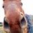 Ruth Eades's profile picture