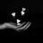 Moongoddess Selena's profile picture