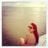Tara Rosenberg's profile picture