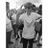 Callum Cairns's profile picture