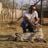 Siva Naidoo's profile picture