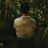 Felix Holly's profile picture