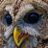 Goh Ray's profile picture