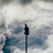 Gus Lag's profile picture