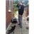 Dan McLoughlin's profile picture