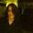 Lillian Lageyre's profile picture