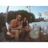 Kayley Abbott's profile picture