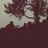 Paolo Miotti's profile picture
