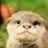 Michael Berich's profile picture
