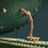 JoJo Giucci's profile picture