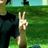 Jamesh Yett's profile picture