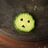 Giuliana Califano's profile picture