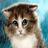 David O' Grady's profile picture