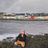 Sacktap Rory's profile picture